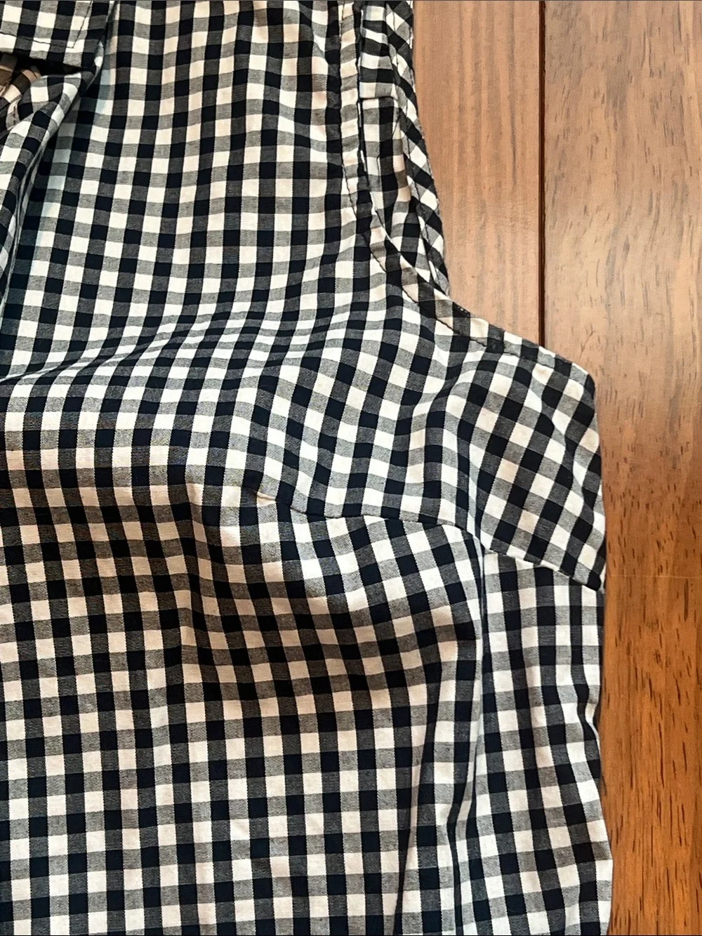 J. Crew Blue & White Gingham Sleeveless Button-Up Shirt